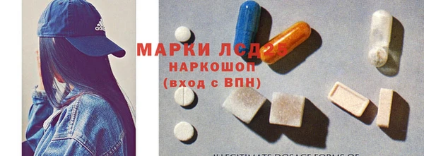 мяу мяу мука Шали