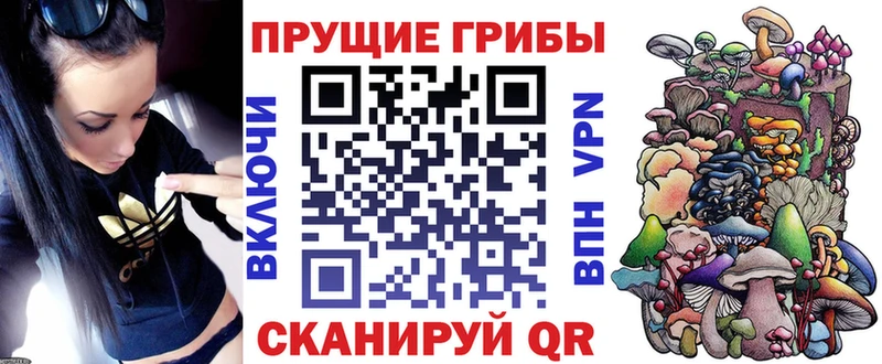 KRAKEN маркетплейс  Хасавюрт  Галлюциногенные грибы Psilocybine cubensis 