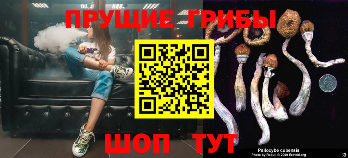 Галлюциногенные грибы Psilocybe  Вход с VPN  Хасавюрт 